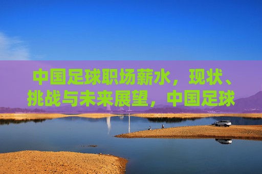 中国足球职场薪水，现状、挑战与未来展望，中国足球职场薪水，现状、挑战与未来展望