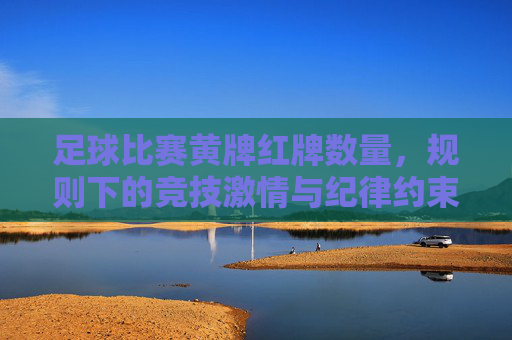 足球比赛黄牌红牌数量,规则下的竞技激情与纪律约束的交织,足球赛场黄牌红牌的规则约束与竞技激情的交织