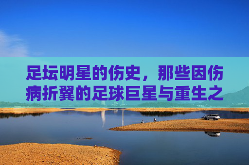 足坛明星的伤史,那些因伤病折翼的足球巨星与重生之路,足坛明星的伤史,伤病折翼的足球巨星与重生之路
