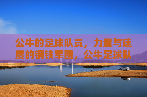 公牛的足球队员,力量与速度的钢铁军团,公牛足球队员,力量与速度的钢铁军团
