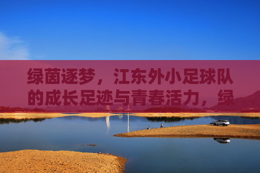 绿茵逐梦，江东外小足球队的成长足迹与青春活力，绿茵逐梦，江东外小足球队的成长足迹与青春活力