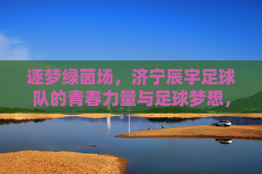 逐梦绿茵场，济宁辰宇足球队的青春力量与足球梦想，逐梦绿茵场，济宁辰宇足球队的青春力量与足球梦想