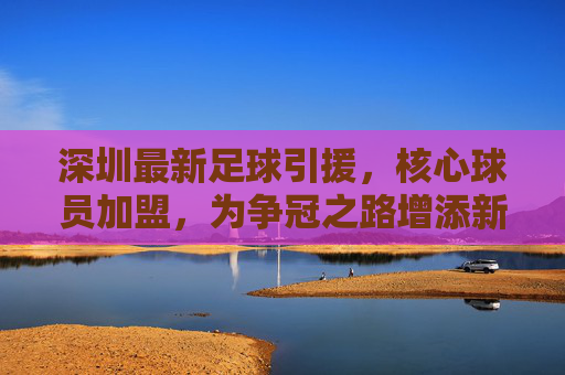 深圳最新足球引援,核心球员加盟,为争冠之路增添新动力,深圳最新足球引援,核心球员加盟,为争冠之路增添新动力