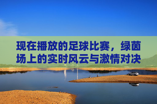现在播放的足球比赛，绿茵场上的实时风云与激情对决，现在播放的足球比赛，绿茵场上的实时风云与激情对决