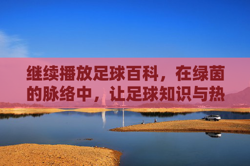 继续播放足球百科,在绿茵的脉络中,让足球知识与热爱永不止步,足球百科,在绿茵的脉络中,让足球知识与热爱永不止步