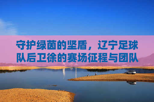 守护绿茵的坚盾，辽宁足球队后卫徐的赛场征程与团队情怀，守护绿茵的坚盾，辽宁足球队后卫徐的赛场征程与团队情怀
