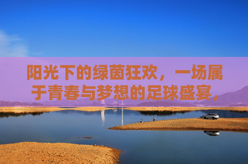 阳光下的绿茵狂欢，一场属于青春与梦想的足球盛宴，阳光下的绿茵狂欢，一场属于青春与梦想的足球盛宴