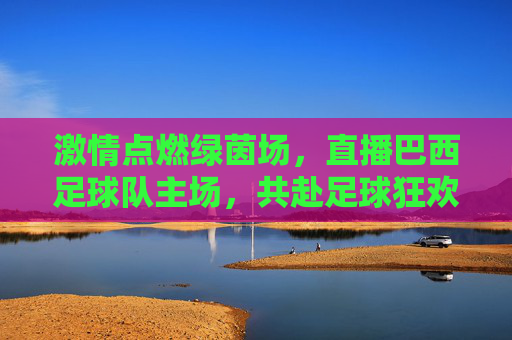 激情点燃绿茵场,直播巴西足球队主场,共赴足球狂欢盛宴,激情点燃绿茵场,直播巴西足球队主场,共赴足球狂欢盛宴