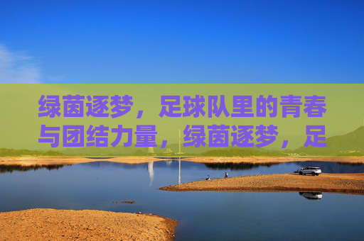 绿茵逐梦，足球队里的青春与团结力量，绿茵逐梦，足球队里的青春与团结力量