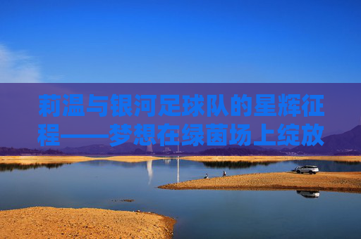 莉温与银河足球队的星辉征程——梦想在绿茵场上绽放，莉温与银河足球队的星辉征程——梦想在绿茵场上绽放