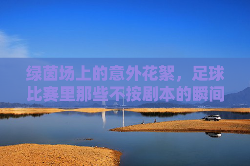 绿茵场上的意外花絮，足球比赛里那些不按剧本的瞬间，绿茵场上的意外花絮，足球比赛里那些不按剧本的瞬间