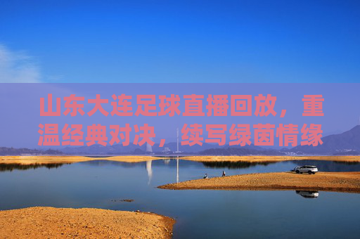 山东大连足球直播回放,重温经典对决,续写绿茵情缘,山东大连足球直播回放,重温经典对决,续写绿茵情缘