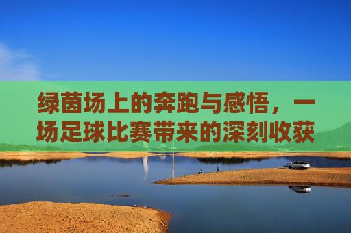 绿茵场上的奔跑与感悟，一场足球比赛带来的深刻收获，绿茵奔跑与感悟，一场足球比赛带来的深刻收获
