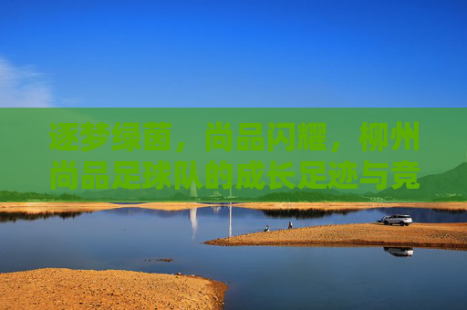逐梦绿茵，尚品闪耀，柳州尚品足球队的成长足迹与竞技风采，逐梦绿茵，尚品闪耀，柳州尚品足球队的成长足迹与竞技风采