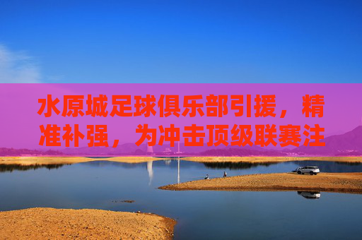水原城足球俱乐部引援,精准补强,为冲击顶级联赛注入新活力,水原城足球俱乐部引援精准补强,为冲击顶级联赛注入新活力