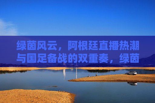 绿茵风云,阿根廷直播热潮与国足备战的双重奏,绿茵风云,阿根廷直播热潮与国足备战的双重奏