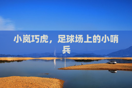 小岚巧虎，足球场上的小哨兵