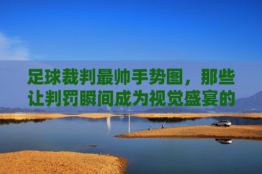 足球裁判最帅手势图,那些让判罚瞬间成为视觉盛宴的优雅动作