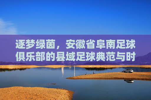 逐梦绿茵,安徽省阜南足球俱乐部的县域足球典范与时代担当