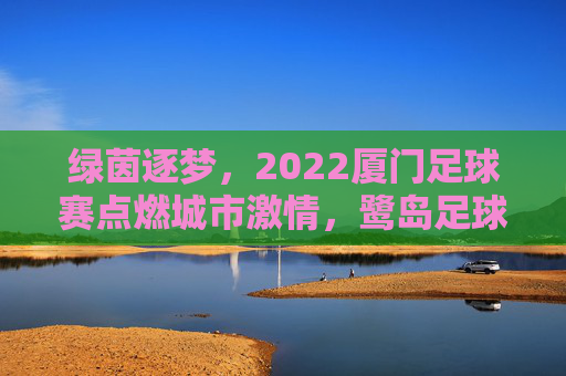 绿茵逐梦，2022厦门足球赛点燃城市激情，鹭岛足球文化再谱新篇