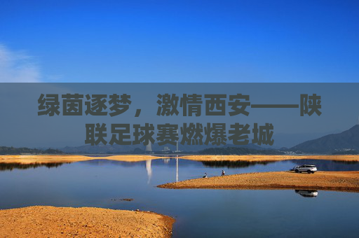 绿茵逐梦,激情西安——陕联足球赛燃爆老城