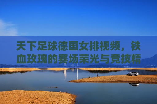 天下足球德国女排视频,铁血玫瑰的赛场荣光与竞技精神解码