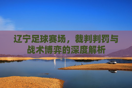 辽宁足球赛场,裁判判罚与战术博弈的深度解析