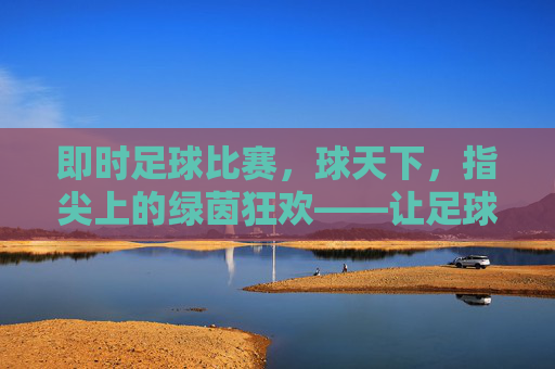 即时足球比赛，球天下，指尖上的绿茵狂欢——让足球激情随指即达，即时足球比赛，球天下，指尖上的绿茵狂欢——让足球激情随指即达