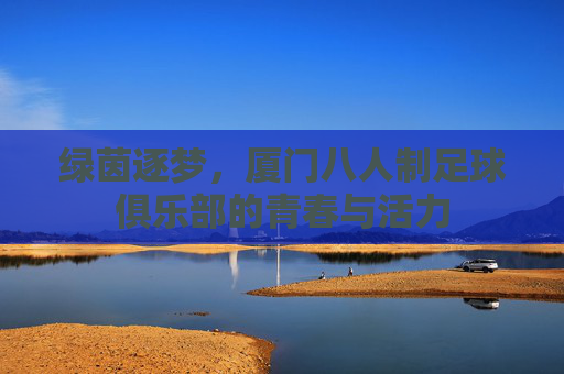 绿茵逐梦,厦门八人制足球俱乐部的青春与活力