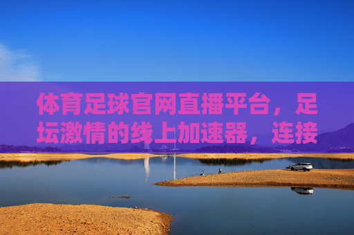 体育足球官网直播平台，足坛激情的线上加速器，连接球迷与绿茵场的数字桥梁
