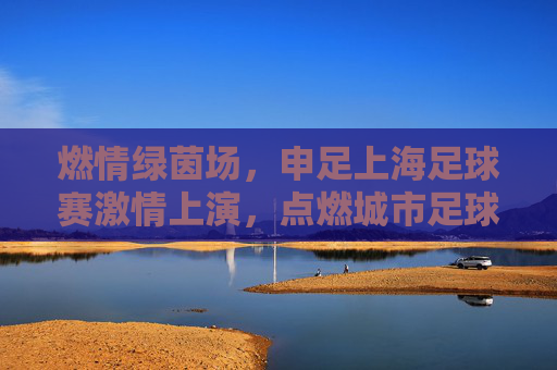 燃情绿茵场,申足上海足球赛激情上演,点燃城市足球热情