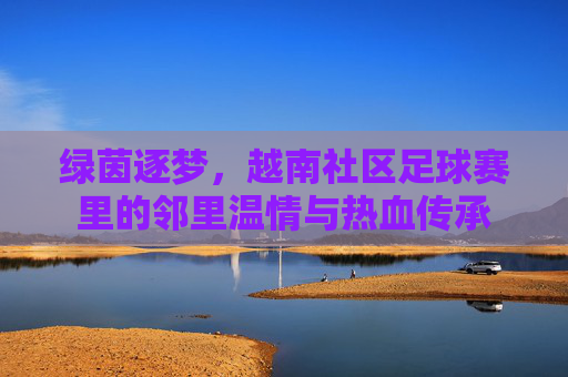 绿茵逐梦，越南社区足球赛里的邻里温情与热血传承