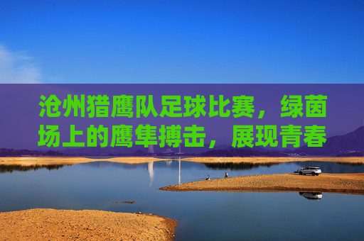 沧州猎鹰队足球比赛,绿茵场上的鹰隼搏击,展现青春力量与团队荣光