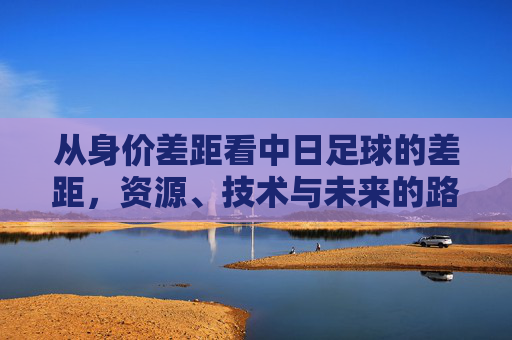 从身价差距看中日足球的差距,资源、技术与未来的路径探索