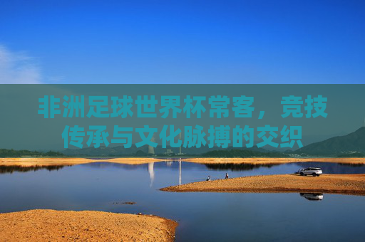 非洲足球世界杯常客,竞技传承与文化脉搏的交织