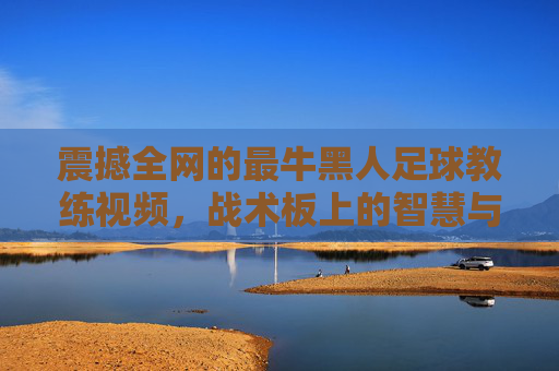 震撼全网的最牛黑人足球教练视频，战术板上的智慧与赛场上的传奇，每一帧都燃爆足球迷的激情！