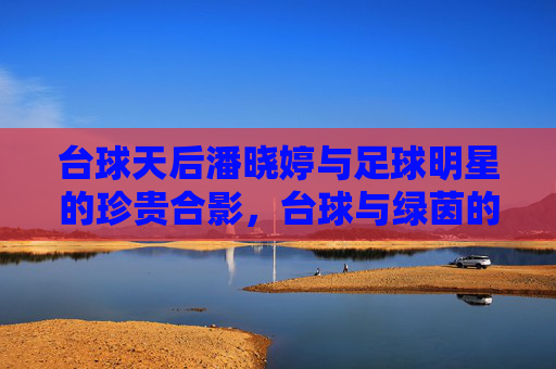 台球天后潘晓婷与足球明星的珍贵合影,台球与绿茵的奇妙邂逅,台球天后潘晓婷与足球明星的珍贵合影,台球与绿茵的奇妙邂逅