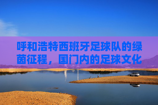呼和浩特西班牙足球队的绿茵征程，国门内的足球文化交融，呼和浩特西班牙足球队，绿茵征程中的足球文化交融