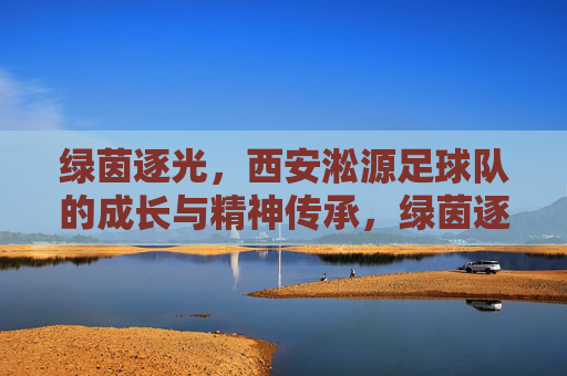 绿茵逐光,西安淞源足球队的成长与精神传承,绿茵逐光,西安淞源足球队的成长与精神传承