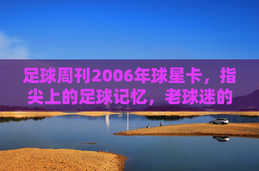 足球周刊2006年球星卡,指尖上的足球记忆,老球迷的珍藏与时代印记,足球周刊2006年球星卡,指尖上的足球记忆,老球迷的珍藏与时代印记