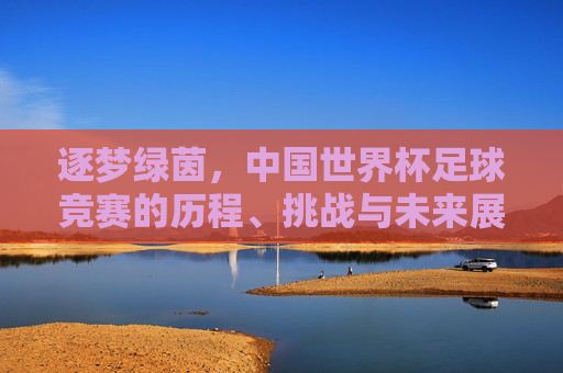逐梦绿茵,中国世界杯足球竞赛的历程、挑战与未来展望,逐梦绿茵,中国世界杯足球竞赛的历程、挑战与未来展望