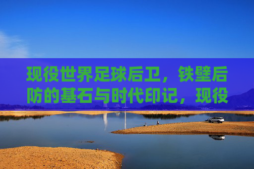 现役世界足球后卫,铁壁后防的基石与时代印记,现役世界足球后卫,铁壁后防的基石与时代印记