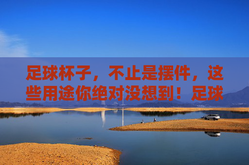 足球杯子，不止是摆件，这些用途你绝对没想到！足球杯子，不止是摆件，这些用途你绝对没想到！