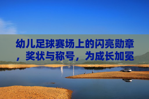 幼儿足球赛场上的闪亮勋章,奖状与称号,为成长加冕,幼儿足球赛场上的闪亮勋章,奖状与称号,为成长加冕