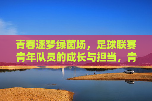 青春逐梦绿茵场,足球联赛青年队员的成长与担当,青春逐梦绿茵场,足球联赛青年队员的成长与担当