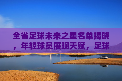全省足球未来之星名单揭晓，年轻球员展现天赋，足球希望之光熠熠生辉，全省足球未来之星名单揭晓，年轻球员展现天赋，足球希望之光熠熠生辉