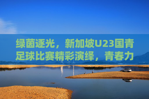 绿茵逐光，新加坡U23国青足球比赛精彩演绎，青春力量闪耀赛场，绿茵逐光，新加坡U23国青足球比赛精彩演绎，青春力量闪耀赛场