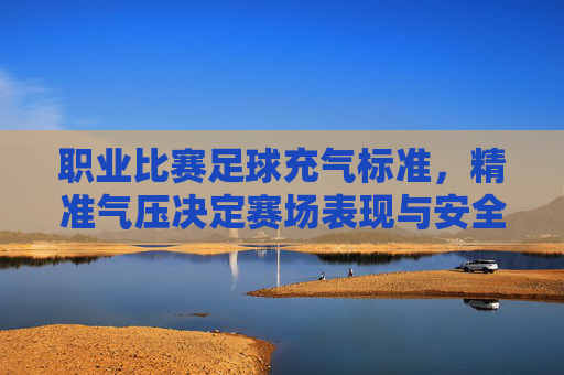 职业比赛足球充气标准，精准气压决定赛场表现与安全，职业比赛足球充气标准，精准气压决定赛场表现与安全