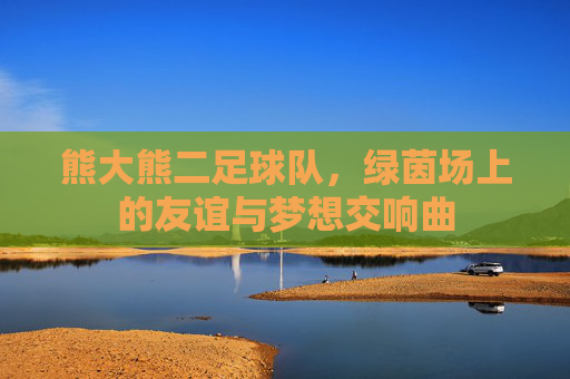 熊大熊二足球队，绿茵场上的友谊与梦想交响曲