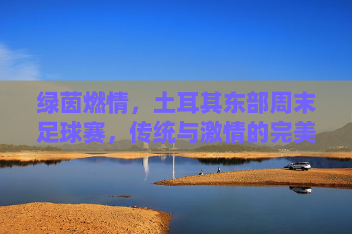 绿茵燃情，土耳其东部周末足球赛，传统与激情的完美邂逅，绿茵燃情，土耳其东部周末足球赛，传统与激情的完美邂逅